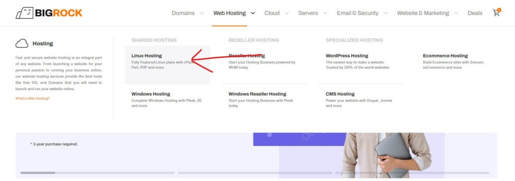 Select your web hosting plan