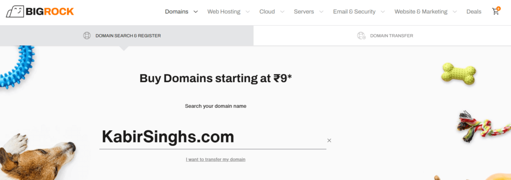 Domain name register page